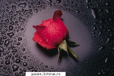 gardienele scris fic&nbsp; &nbsp;sper placa, daca imi partea lumina sacra veni intuneric rapeasca